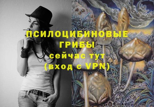 а пвп мука Белокуриха