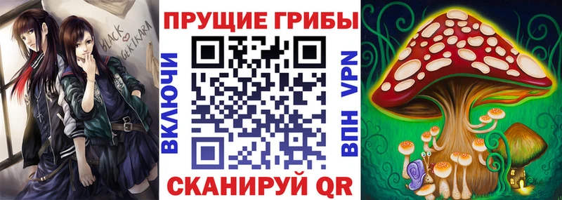 Псилоцибиновые грибы MAGIC MUSHROOMS  hydra сайт  Пестово 