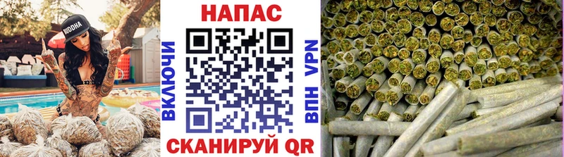 цена наркотик  сайты даркнета какой сайт  Бошки марихуана THC 21%  Пестово 